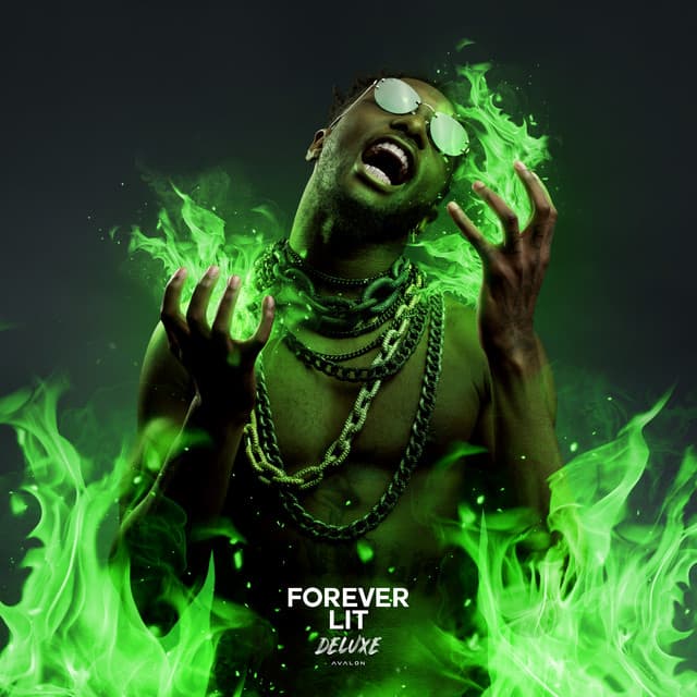 Cover van Forever Lit