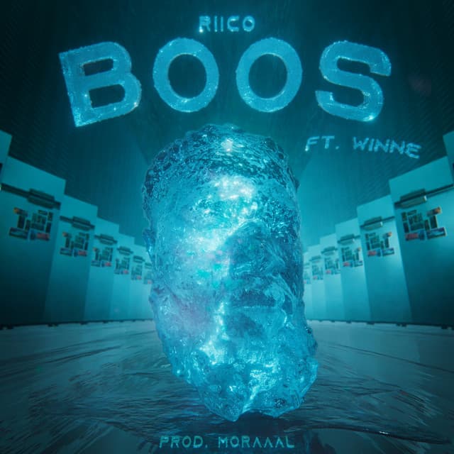 Cover van Boos