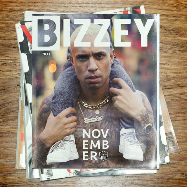 Cover van November