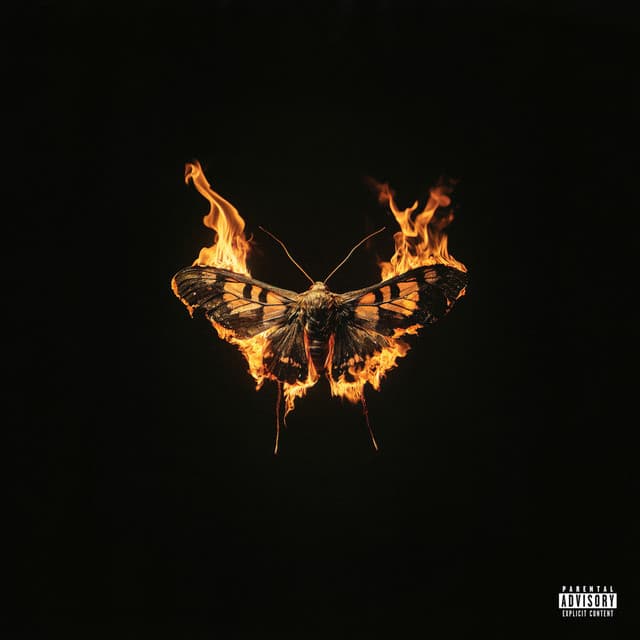 Cover van Nachtvlinder 2