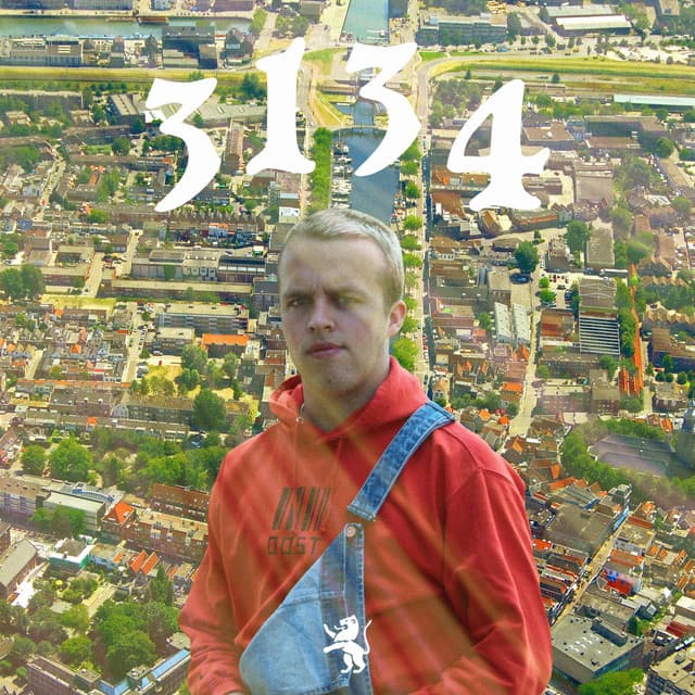 Cover van 3134