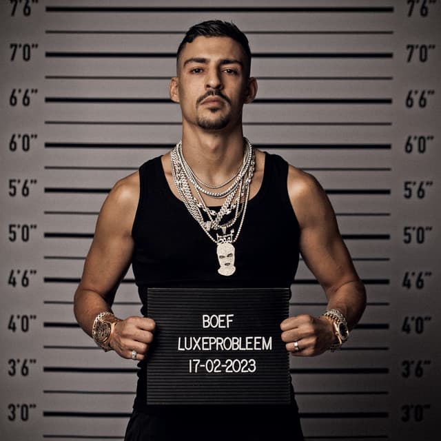 Cover van Luxeprobleem
