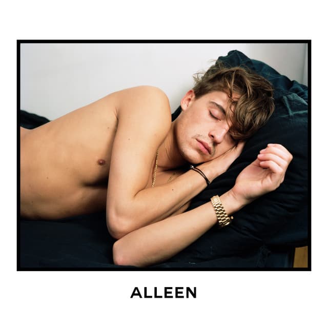 Cover van Alleen