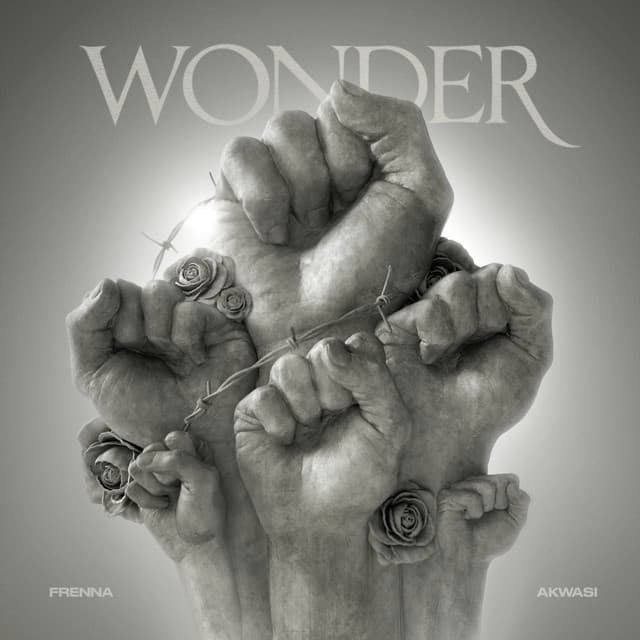 Cover van Wonder