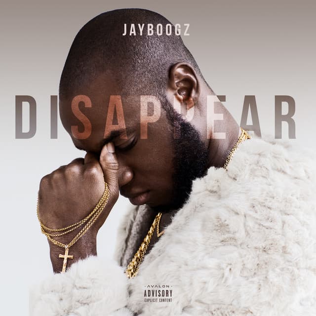 Cover van Disappear