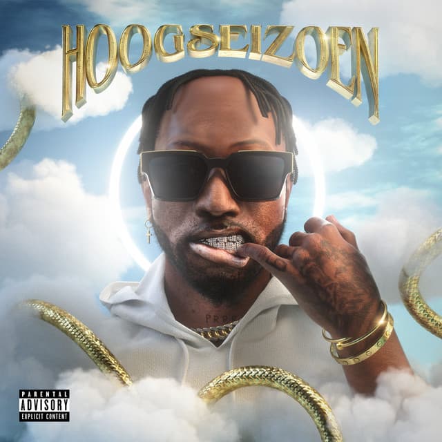 Cover van Hoogseizoen