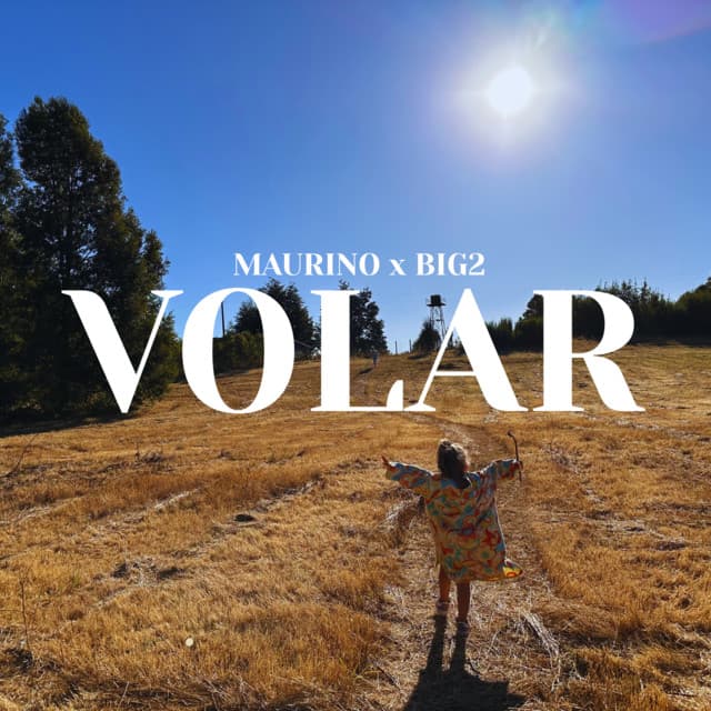 Cover van Volar