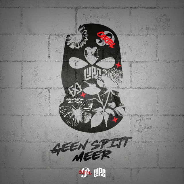 Cover van Geen Spijt Meer