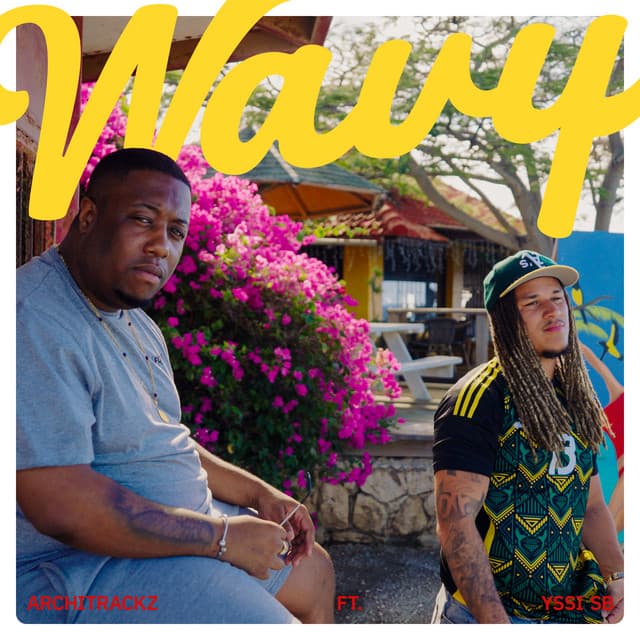 Cover van Wavy