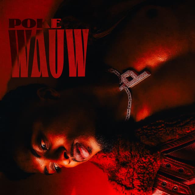 Cover van Wauw