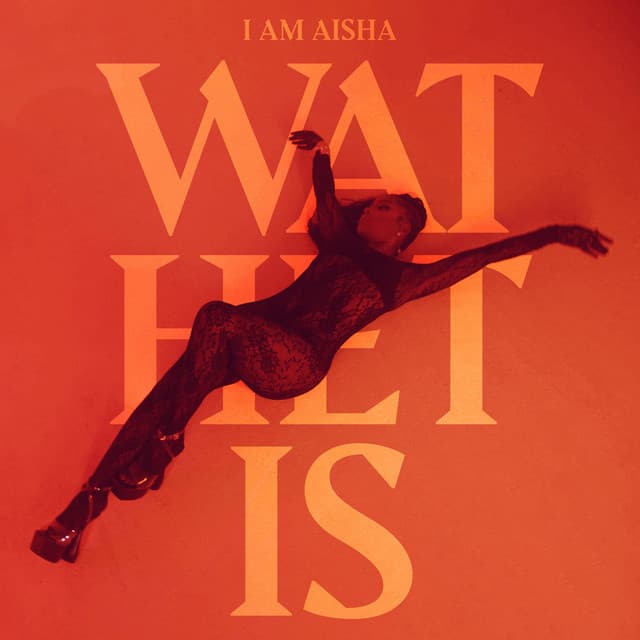 Cover van Wat Het Is