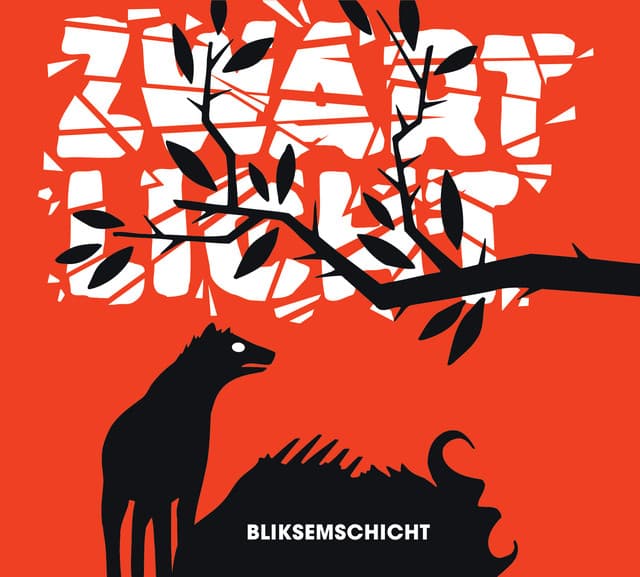 Cover van Bliksemschicht
