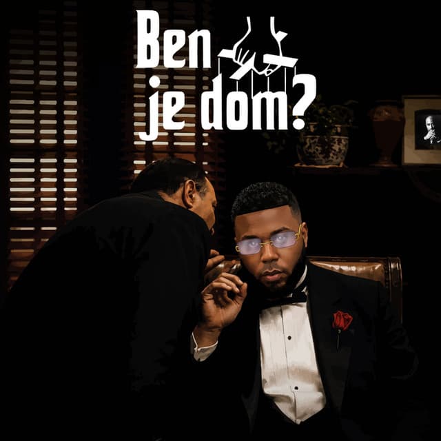 Cover van Ben je dom?