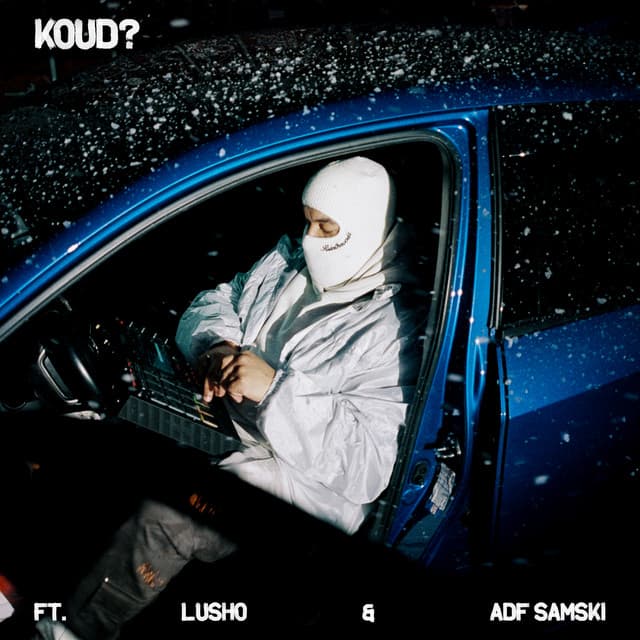Cover van KOUD?
