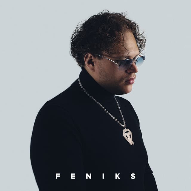 Cover van Feniks