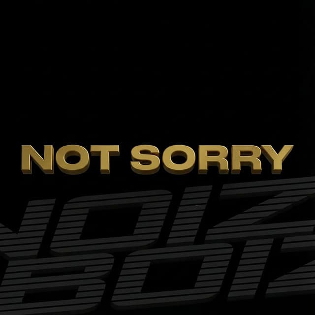 Cover van Not Sorry