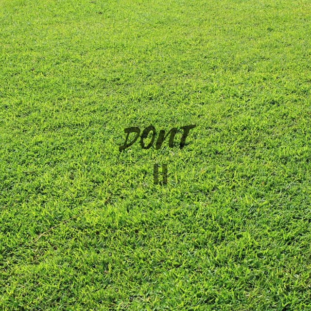 Cover van Don't II