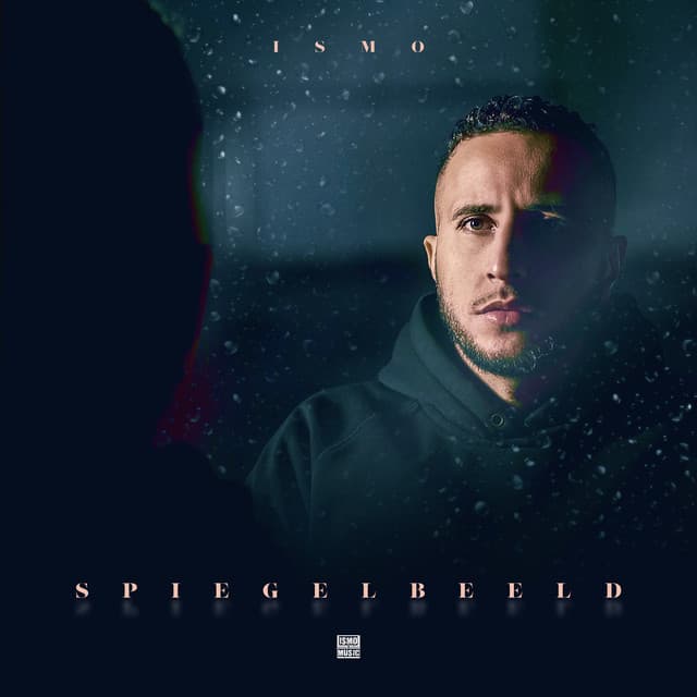 Cover van Spiegelbeeld