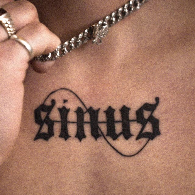 Cover van SINUS