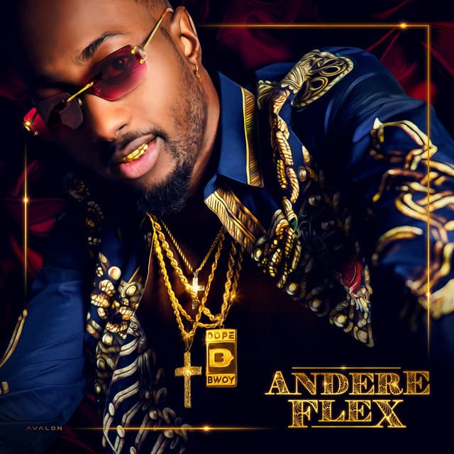 Cover van Andere Flex