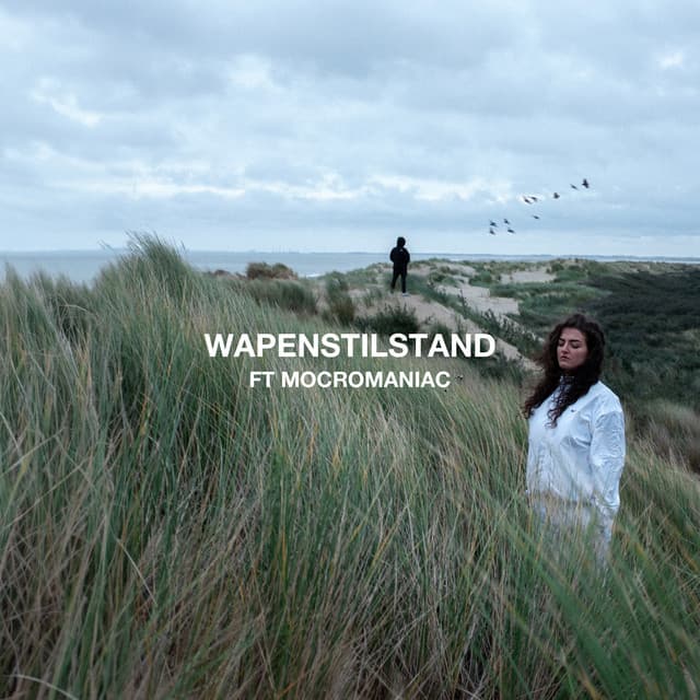 Cover van Wapenstilstand