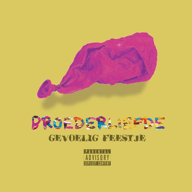 Cover van Gevoelig Feestje